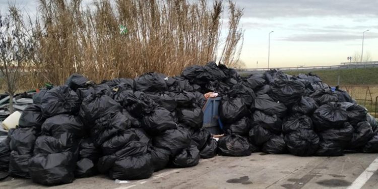 Timisoara capitala culturala europeana plina de gunoaie Planurile lui Dominic Fritz