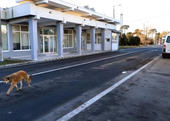 Afacerile impactate de aderarea Romaniei la Schengen