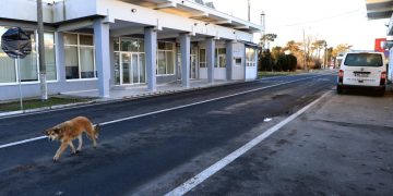 Afacerile impactate de aderarea Romaniei la Schengen