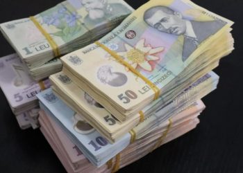 Primele nejustificate de la Romsilva analizate de Guvern