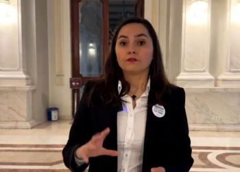 Anamaria Gavrila numeste jurnalistii caini si teroristi si propune o lege pentru finantarea presei prietenoase din buget