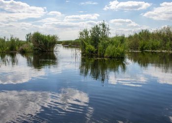 Accident pe Dunare Sulina barca rasturnata