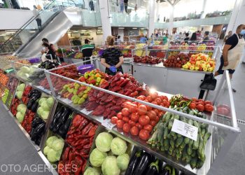 Doi din trei romani se descurca financiar dar economii putine
