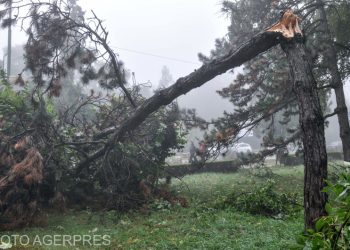 Furtuni puternice in capitala si in mai multe judete