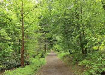 Inca o victorie pentru activistii de mediu in Rastolita