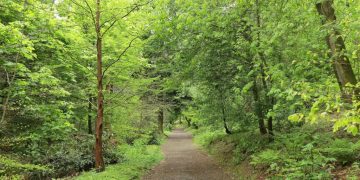 Inca o victorie pentru activistii de mediu in Rastolita