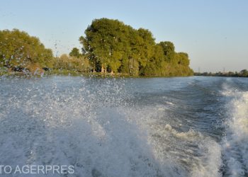 25 de hectare de stuf au ars in Delta Dunarii
