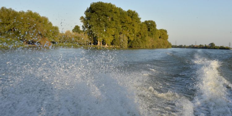 25 de hectare de stuf au ars in Delta Dunarii