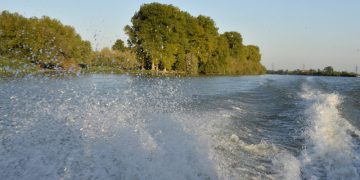 25 de hectare de vegetatie au ars in Delta Dunarii