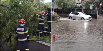 Stiri din Locatiile Noastre