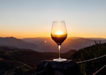 De la Prahova la Tokyo si New York vinul romanesc devine brand de tara