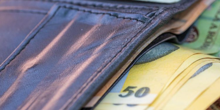 Economist Sistemul de plata cu cardul poate cadea