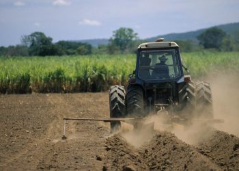 Florin Barbu anunta masurile PSD pentru agricultura Fermierii recupereaza taxe si impozite