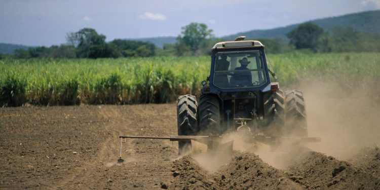 Florin Barbu anunta masurile PSD pentru agricultura Fermierii recupereaza taxe si impozite