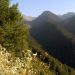 Trei tineri ucraineni recuperati de pe munte in Romania