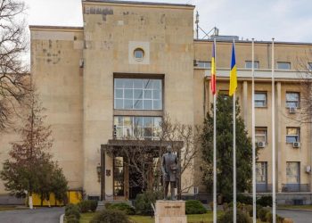 reactia mae dupa decizia cjue creeaza premisele executarii mandatelor europene