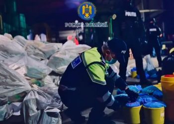 Cum sunt distruse patru tone de droguri de Politie