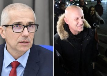 Extradarea lui Horatiu Potra va dura cateva luni