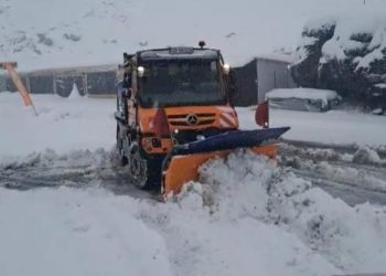 Stiri din Localitate