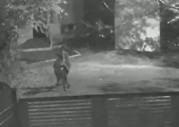 Cincizeci si unu Femeile pe care Romania nu le a protejat