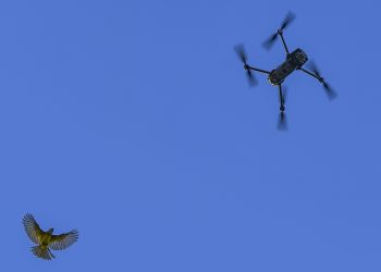 Fermierii ar putea utiliza drone in agricultura conform unui proiect legislativ