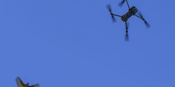 Fermierii ar putea utiliza drone in agricultura conform unui proiect legislativ