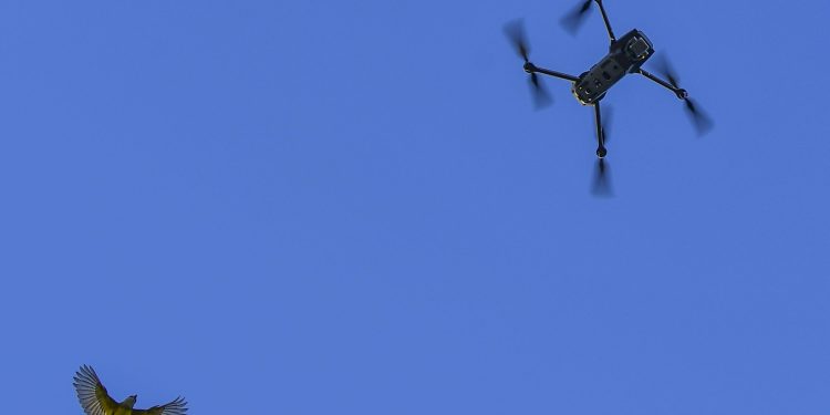 Fermierii ar putea utiliza drone in agricultura conform unui proiect legislativ