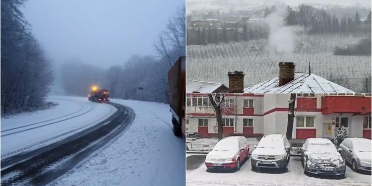 Ninge ca in povesti zapada si drumari activi
