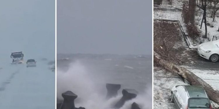 Ninsorile si viscolul au avut un impact grav asupra Romaniei