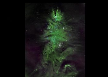 Noua fotografie cu Pomul Cosmic de Craciun NASA