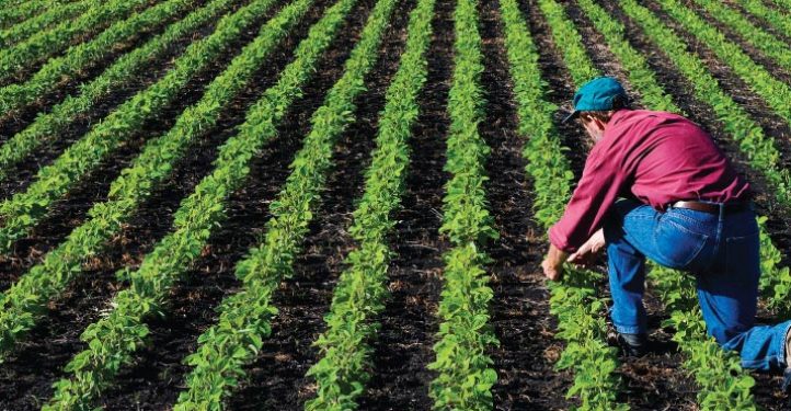 Ministerul Agriculturii a aprobat plati de peste 527 milioane de euro