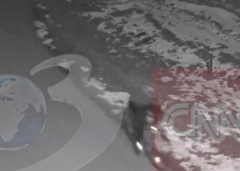 Reconstituirea crimei din Timis Expert in profilare Este fascinant sa observam pana la ce limita erau dispusi copiii