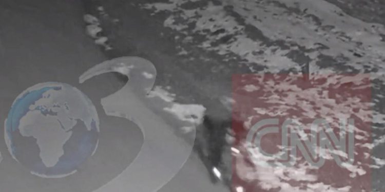 Reconstituirea crimei din Timis Profiler Este fascinant sa vedem pana unde erau disputi copiii