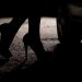 Se practica cred ca statul ar castiga suficient