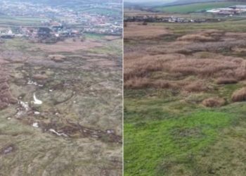 Stiri din Localitate 1