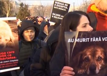 Peste 1000 de oameni au luat parte la protestul organizat in urma tragediei de la Suraia
