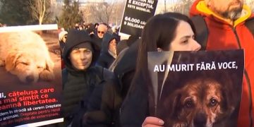 Peste 1000 de oameni au luat parte la protestul organizat in urma tragediei de la Suraia