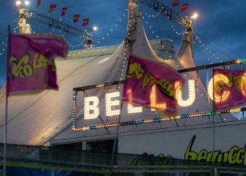 Un acrobat spaniol a cazut de la o inaltime de patru metri intr un circ din Craiova este internat in spital cu