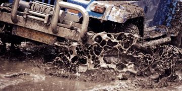 interactiune sociala 5