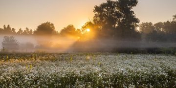 ANM estimeaza temperaturi de 18 grade Celsius si cer senin in toata tara saptamana viitoare