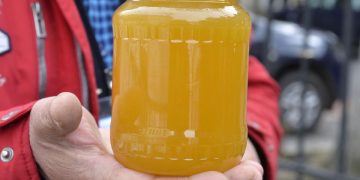 Apicultorii romani cer ajutor urgent Piata va fi inundata cu miere din Mercosur fara taxe