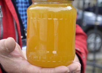 Apicultorii romani cer ajutor urgent Piata va fi inundata de miere din Mercosur liber de taxe