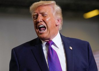 Donald Trump critica NATO intr un mod fara precedent Niste lasi O pantera de hrtie