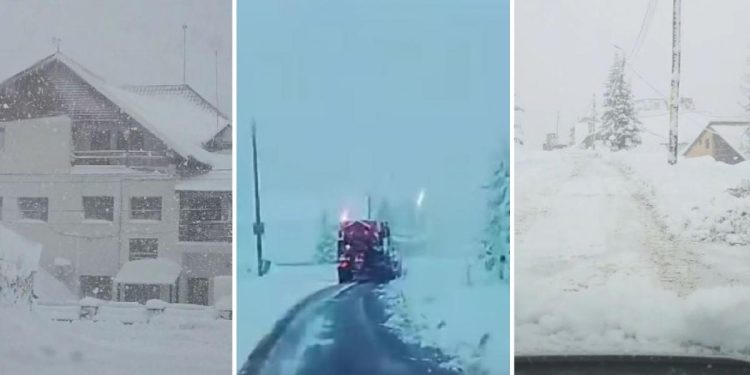 Iarna s a intors cu forte mari in Romania Strat de zapada de peste 35 cm in unele zone A fost