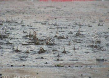 Meteorologii anunta ca Romania este afectata de un ciclon mediteranean