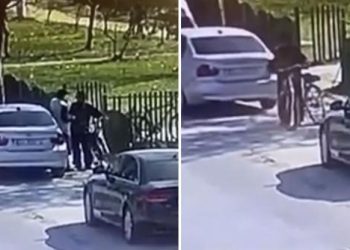 Noutati din Comunitate