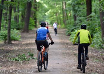 Padurea Banesa va fi declarata arie naturala protejata