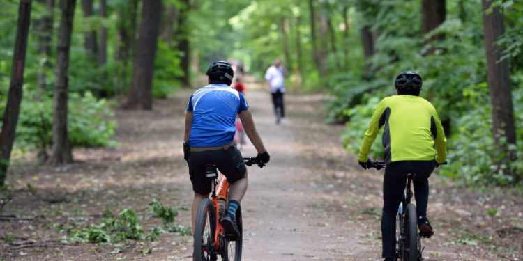 Padurea Banesa va fi declarata arie naturala protejata