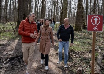 Un nou demers pentru declararea Padurii Baneasa ca zona protejata Buzoianu Plamanul verde pentru