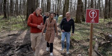 Un nou demers pentru declararea Padurii Baneasa ca zona protejata Buzoianu Plamanul verde pentru